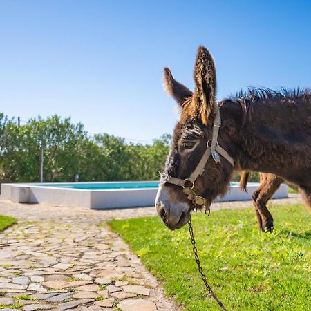 Burro Ville By Host Wise Portimao Ngoại thất bức ảnh