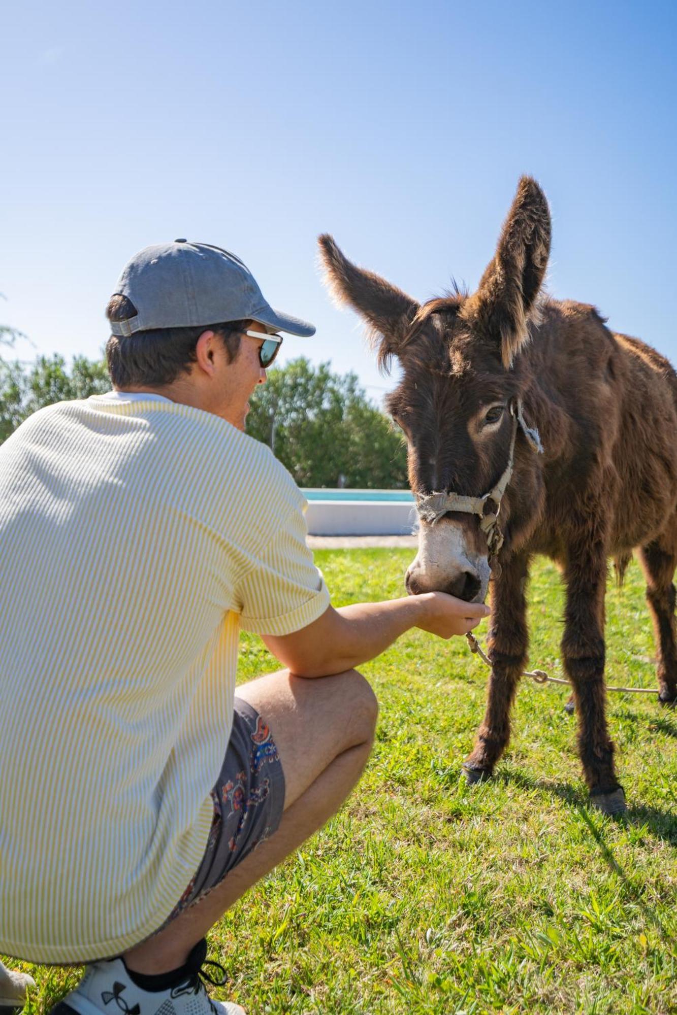 Burro Ville By Host Wise Portimao Ngoại thất bức ảnh